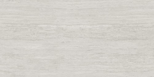 Travertine Silver 60x120
