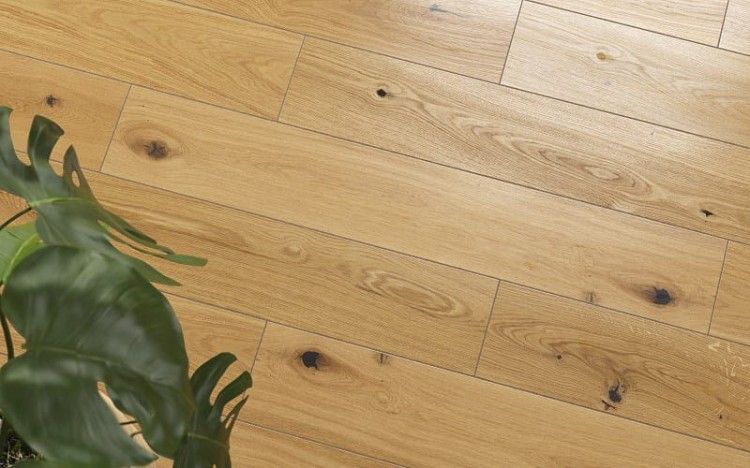 Queens Natural 20x120