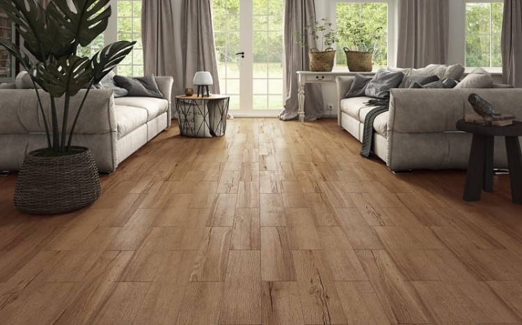 Halifax Honey 15,5x62