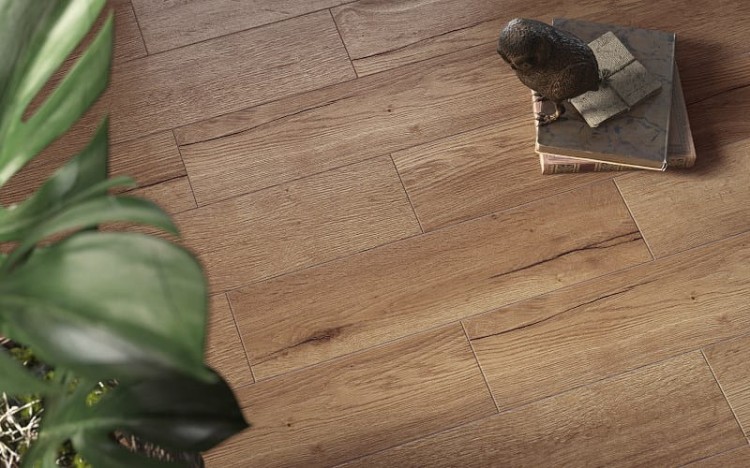 Halifax Honey 15,5x62