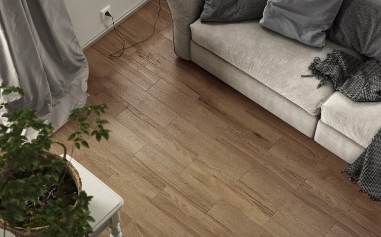 Halifax Honey 15,5x62