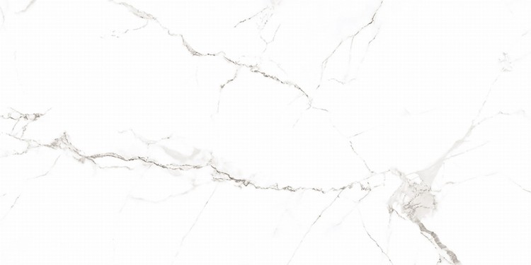 Marmorea White 60x120