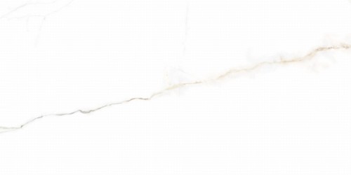 Płytka podłogowa LANCE WHITE MAT 60x120