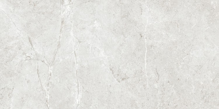 Płytka podłogowa PALERMO GRIS NATURAL 60x120