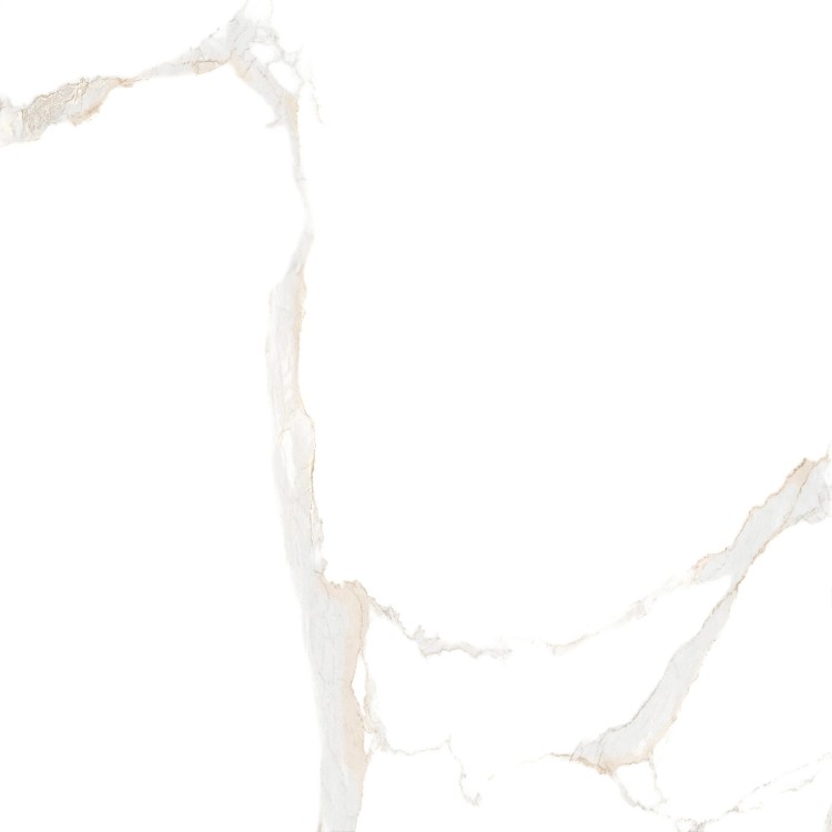 Płytka ścienno - podłogowa DOMUS BIANCO 80x80
