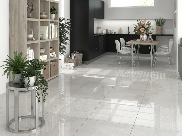 Gres szkliwiony PORTLAND SNOW PRO 60x60